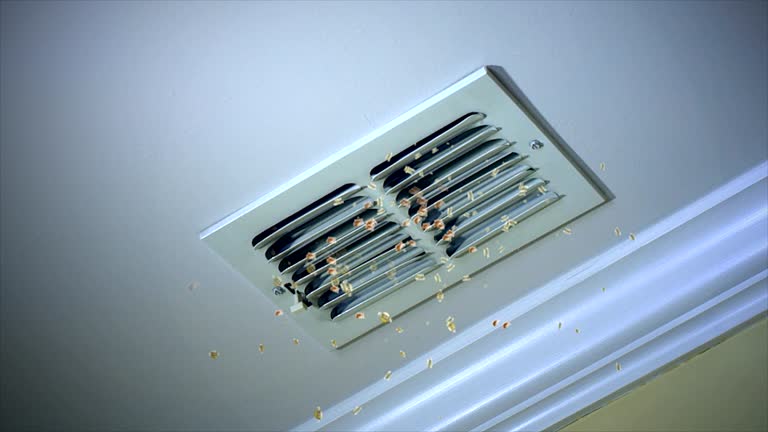 Best Commercial Air Duct Cleaning  in West Jordan, UT